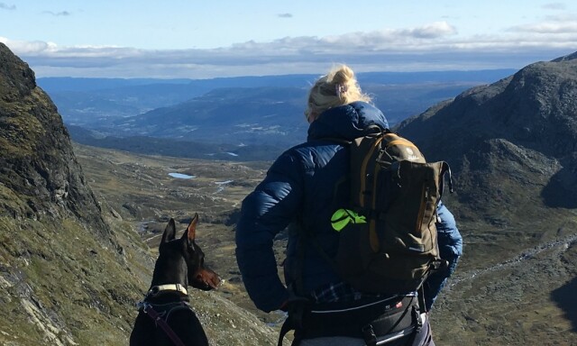 image: Men vår hund er jo så snill!